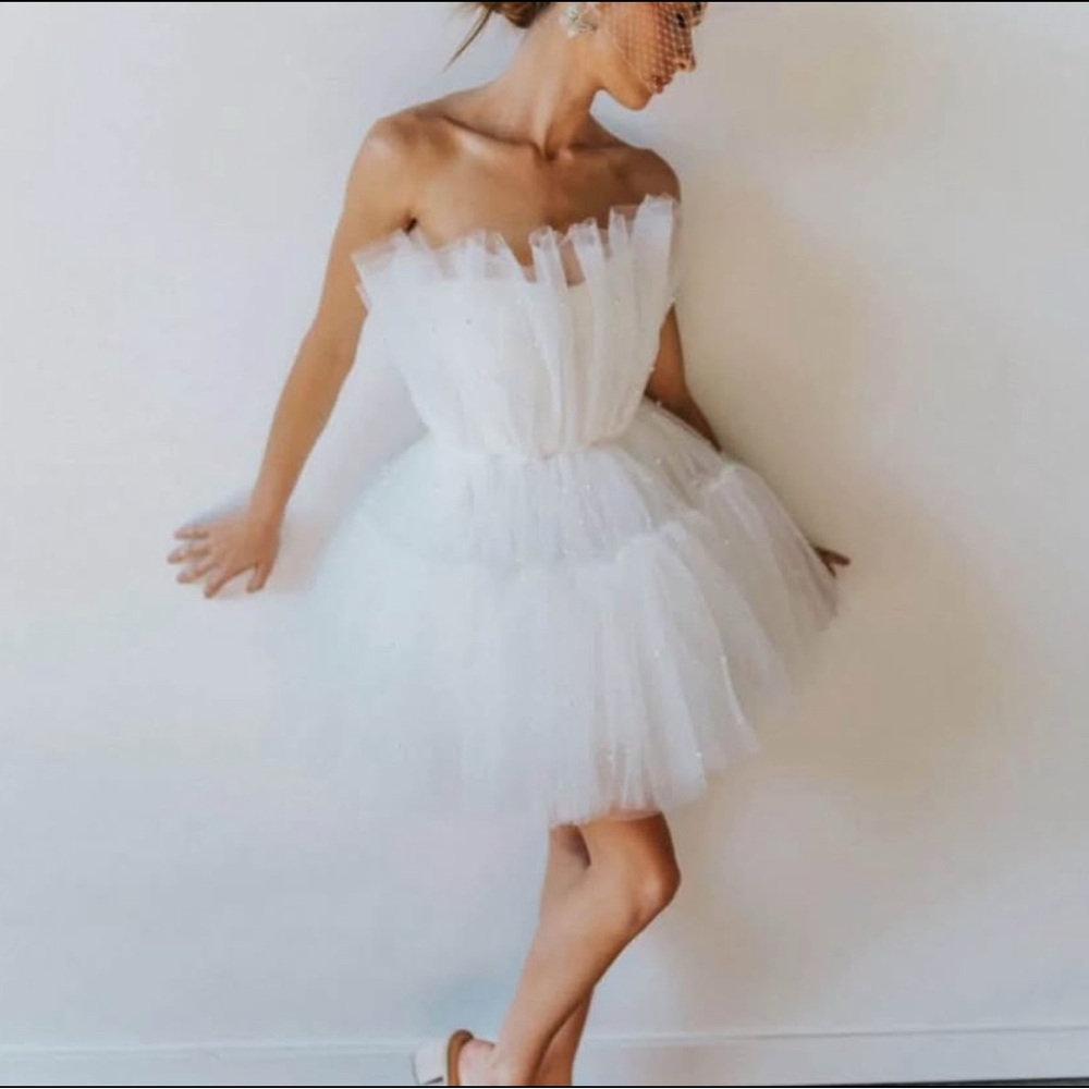 NEVER WORN: Untamed Petals mini Tulle Dress